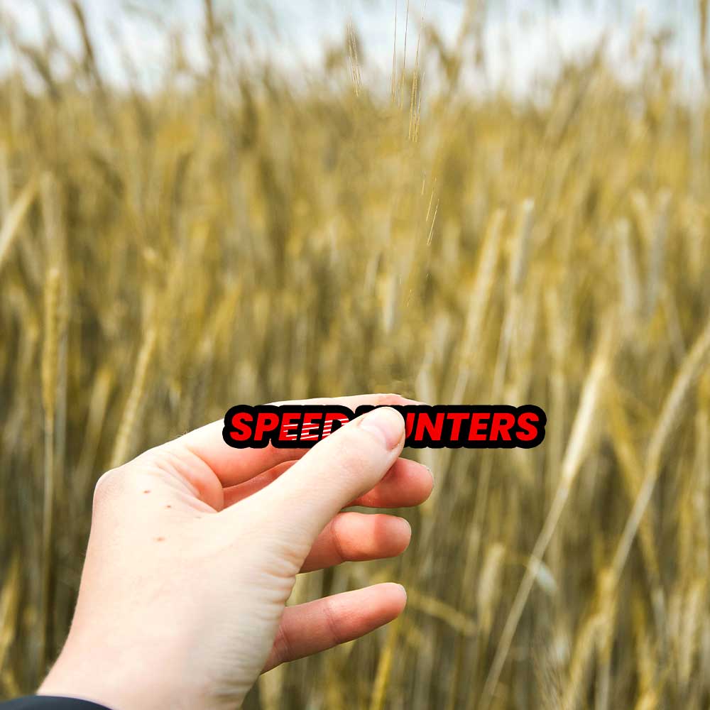 Speed hunters