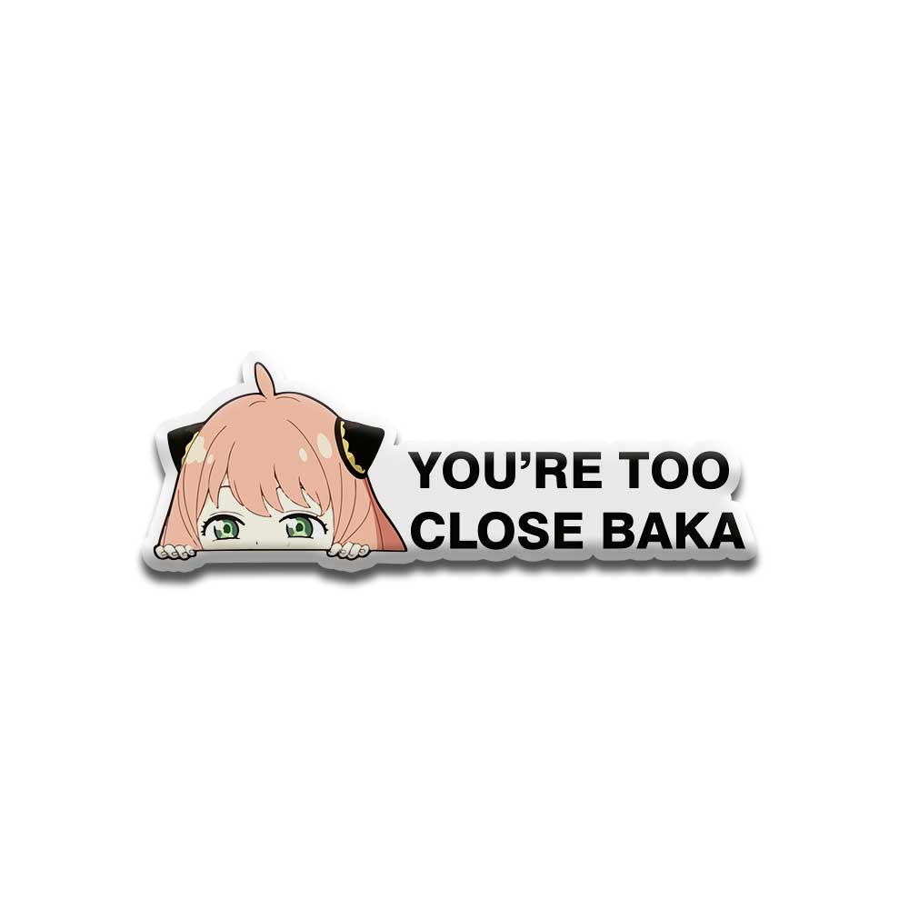 You_re to close baka - DOME (5 INCH)